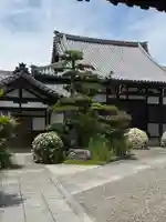 法蔵寺(愛知県)