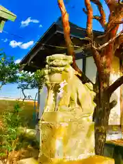 土浦三社神社(水天宮・水神宮・寿寅稲荷神社)の狛犬