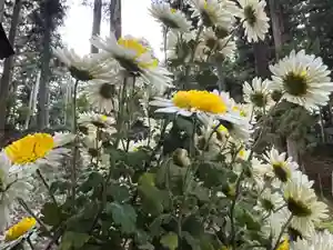 大宮温泉神社(栃木県)(2023年11月21日(火) 08時14分19秒投稿)