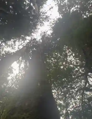 箱根神社(神奈川県)