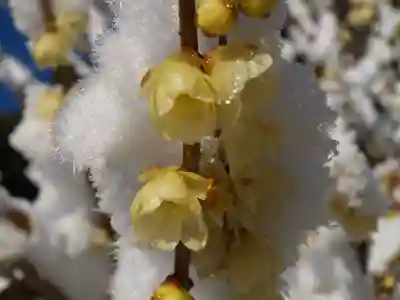 清水寺(栃木県)