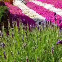 寿量山 速成寺の自然