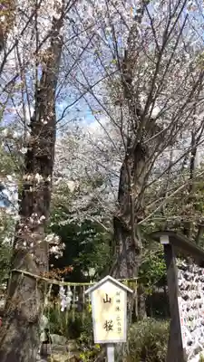 櫻木神社(千葉県)