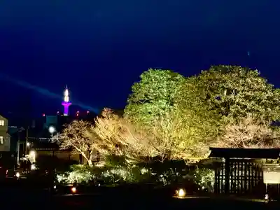 東寺（教王護国寺）の{uncategorized: "未分類", other: "その他", undefined: "問題あり", building: "その他建物", grave: "お墓", sacred_gate: "鳥居", guardian: "狛犬", statue: "像", buddha: "仏像", history: "歴史", nature: "自然", garden: "庭園", animal: "動物", pagoda: "塔", temizu: "手水舎", mountain_gate: "山門・神門", sanctuary: "本殿・本堂", subordinate: "末社・摂社", art: "芸術", scenery: "景色", jizo: "地蔵", ema: "絵馬", goshuin: "御朱印", omikuji: "おみくじ", items: "授与品その他", amulet: "お守り", goshuincho: "御朱印帳", eats: "食事", festival: "お祭り", votive_dance: "神楽", shichigosan: "七五三参", wedding: "結婚式", experience: "体験その他", initially: "初詣", around: "周辺", anti_infection: "感染症対策"}