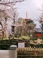 浅草寺の建物その他