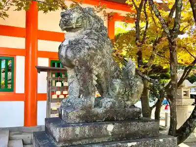 紅葉八幡宮(福岡県)