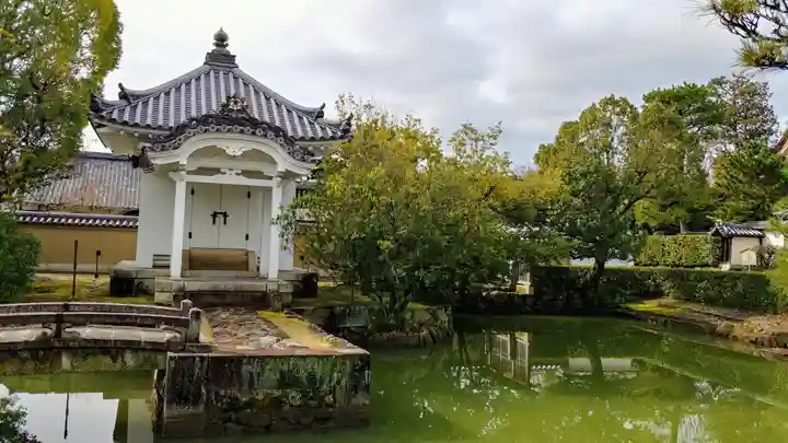 妙心寺(妙心禅寺)の庭園