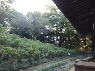 妙楽寺(神奈川県)