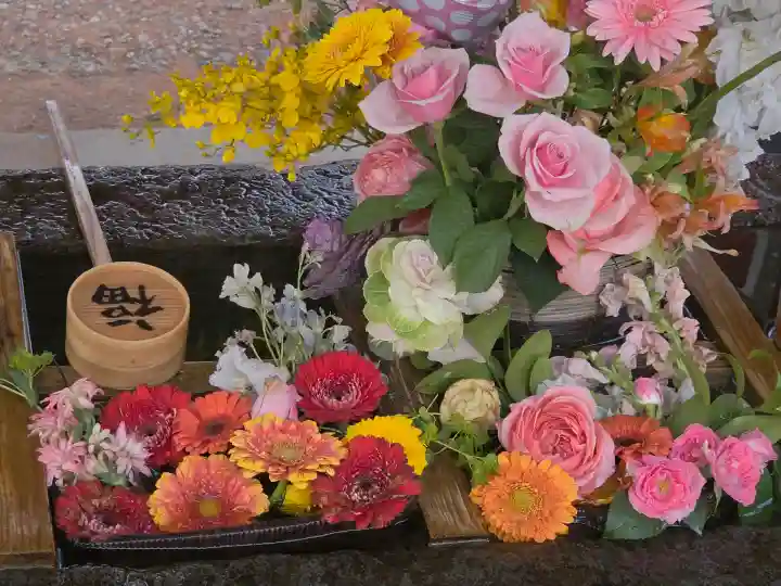 石浦神社の{uncategorized: "未分類", other: "その他", undefined: "問題あり", building: "その他建物", grave: "お墓", sacred_gate: "鳥居", guardian: "狛犬", statue: "像", buddha: "仏像", history: "歴史", nature: "自然", garden: "庭園", animal: "動物", pagoda: "塔", temizu: "手水舎", mountain_gate: "山門・神門", sanctuary: "本殿・本堂", subordinate: "末社・摂社", art: "芸術", scenery: "景色", jizo: "地蔵", ema: "絵馬", goshuin: "御朱印", omikuji: "おみくじ", items: "授与品その他", amulet: "お守り", goshuincho: "御朱印帳", eats: "食事", festival: "お祭り", votive_dance: "神楽", shichigosan: "七五三参", wedding: "結婚式", experience: "体験その他", initially: "初詣", around: "周辺", anti_infection: "感染症対策"}