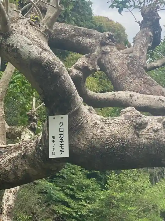 石山寺(滋賀県)