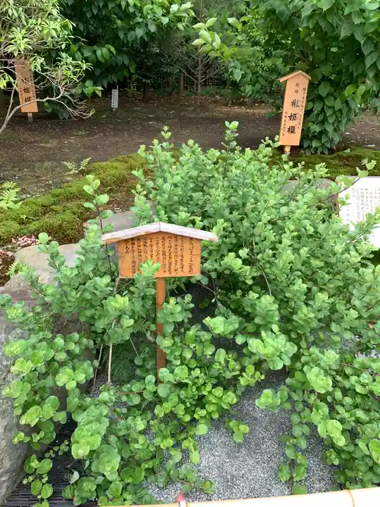寒川神社の自然