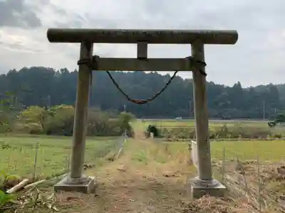 日枝神社の鳥居
