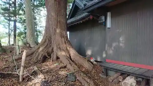 太神社の本殿