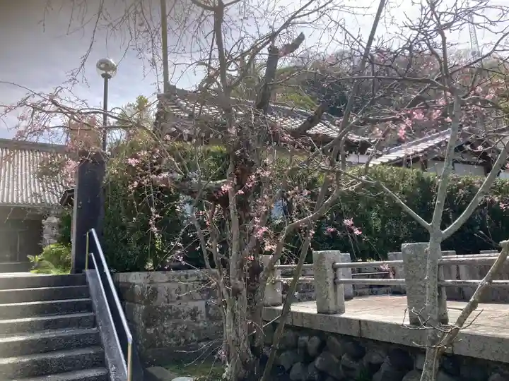 伝福寺(神奈川県)