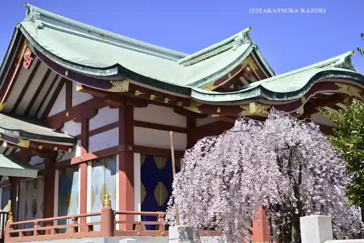 千住神社の本殿・本堂