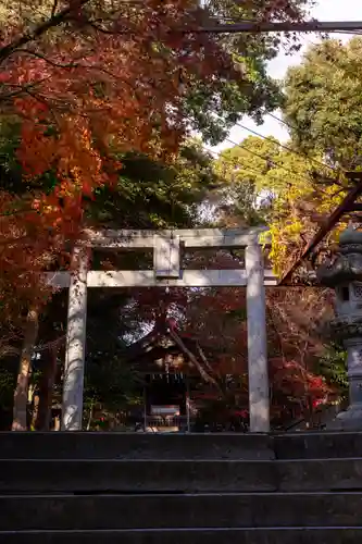 香椎宮(福岡県)