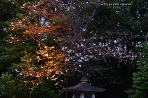 靖國神社(東京都)