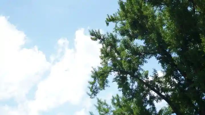 護王神社(京都府)