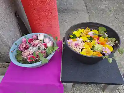 徳島眉山天神社(徳島県)