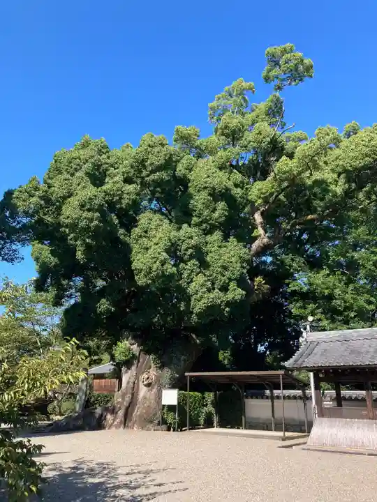 粉河寺(和歌山県)