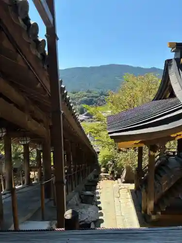 長谷寺(奈良県)
