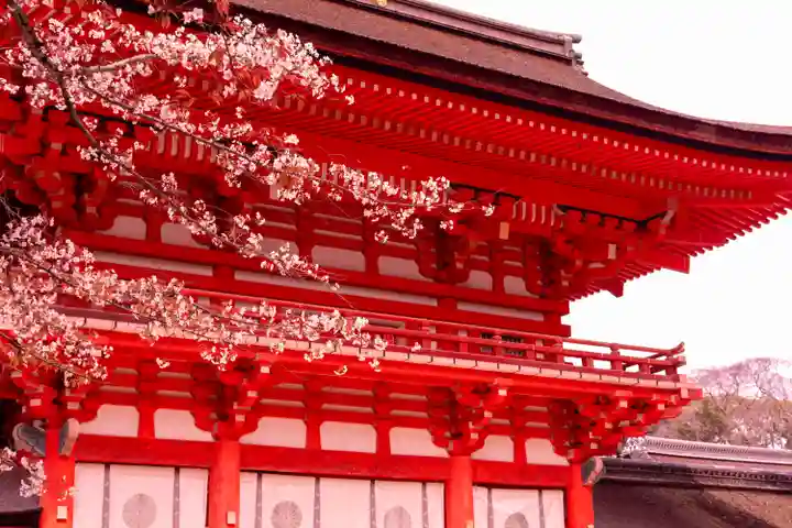 賀茂御祖神社(下鴨神社)(京都府)