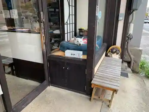 青蓮院門跡(京都府)