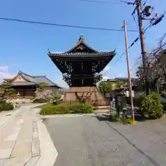 妙蓮寺(京都府)