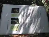 山の観音堂の歴史