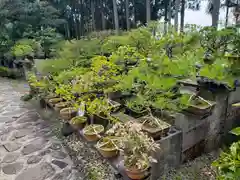 酒波寺(滋賀県)