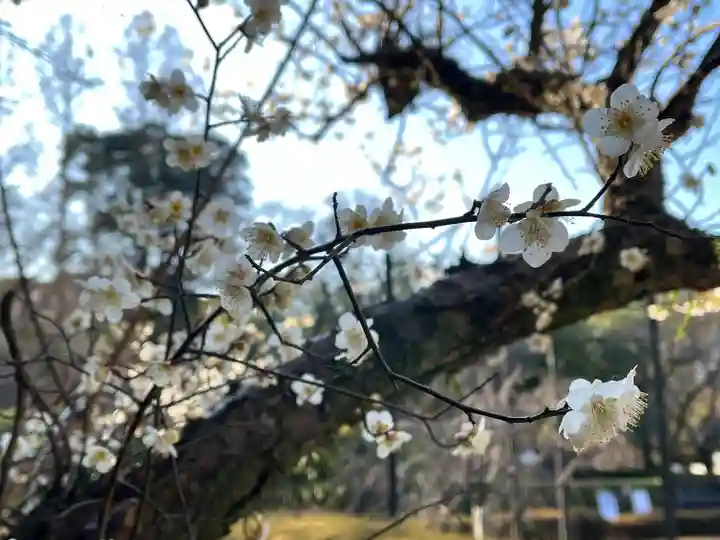 石清水八幡宮(京都府)