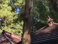 香取神社(茨城県)