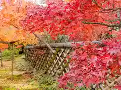 光悦寺(京都府)