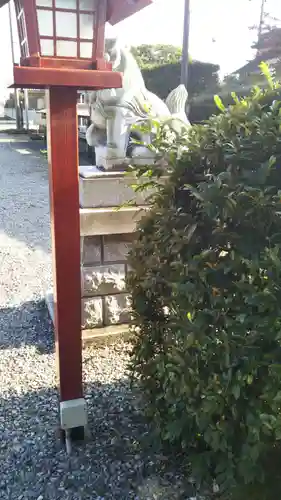 子安神社の狛犬