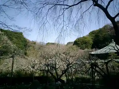 瑞泉寺のその他建物