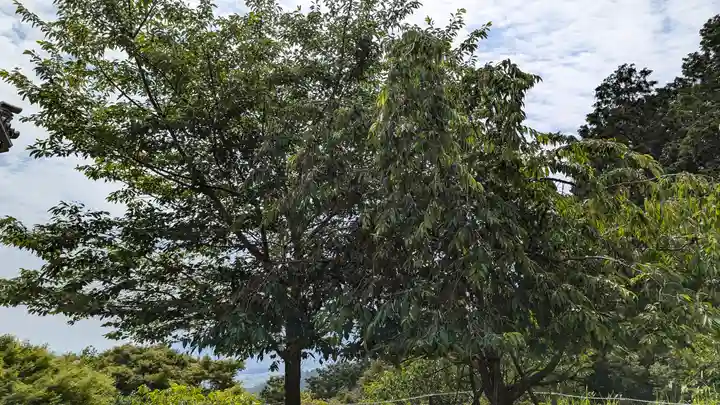 三鈷寺(京都府)