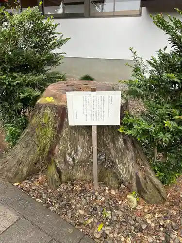 平出雷電神社(栃木県)