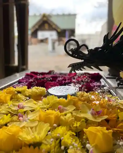 札幌諏訪神社の手水