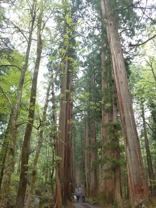 戸隠神社九頭龍社(長野県)