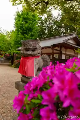 磯良神社（疣水神社）(大阪府)