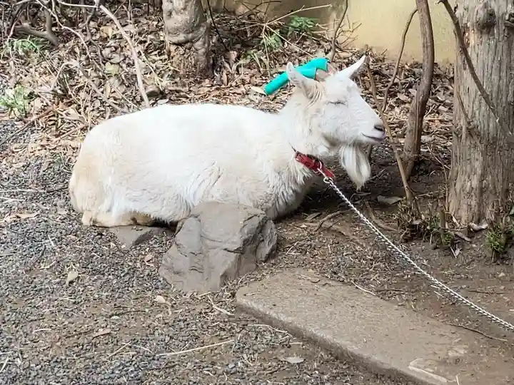 水稲荷神社(東京都)