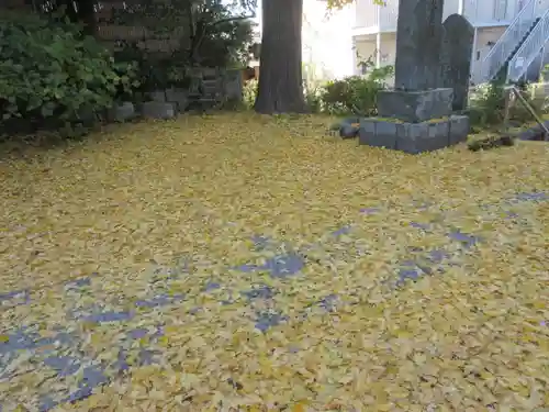 安國論寺（安国論寺）(神奈川県)