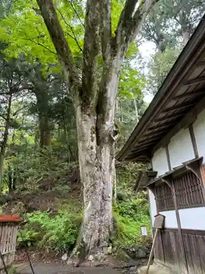 丹生川上神社（下社）(奈良県)