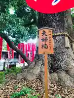 和泉國一之宮 大鳥大社のその他建物