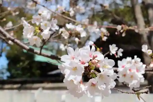 三津厳島神社(愛媛県)
