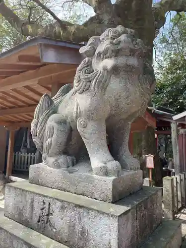 武信稲荷神社の狛犬