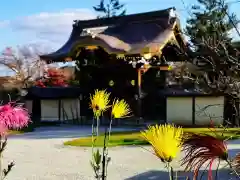 大覚寺の本殿