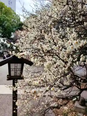 乃木神社(東京都)