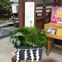 七重浜海津見神社(北海道)