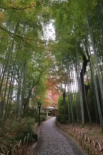 指月殿(静岡県)